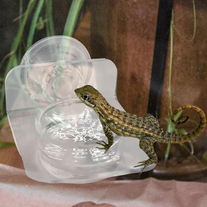 Gecko Feeder - Gecko Feeding Ledge Suction Cup, Reptile Food Feeder Bowl, Suction Cup Food Tray Lizard | Acrylic, Magnet, Bowls, Reptile Feeding Ledge for Lizards, Chameleons, Tree Frogs, - color: B