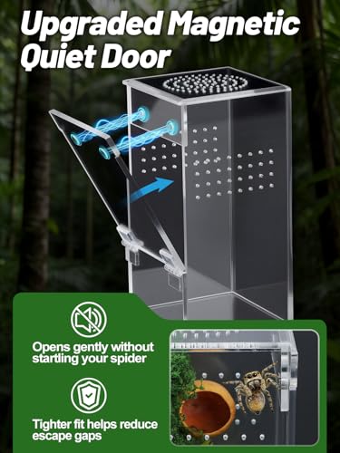 Escape Proof Jumping Spider Enclosure, Tarantula Terrarium Accessories Kit | MADHOLLY One-Piece, No Assembly Required, with Magnetic Door, Micro Vent Holes, DIY Decors, for Mantises/Insects, 3x3x6in