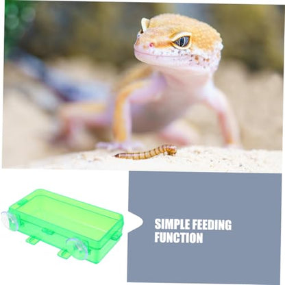 BESPORTBLE Reptile Feeding Bowl with Suction Cup Gecko and Lizard Dish for Food and Water Easy to Clean and Install for Snake and Reptile Tanks Small Green