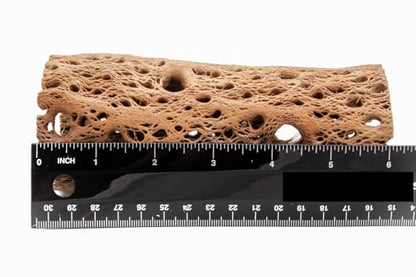 3 to 48 Inch All Natural Teddy Bear Cholla Wood Extra Hollow Large Untreated Organic Aquarium Driftwood Decoration Chew Toy Shrimp Crab Multi-Quantity - size: 1 Piece, 6 inch