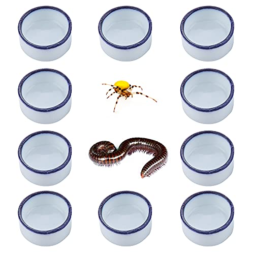 10 Pcs Spider Micro Water Bowl Mini Ceramic Dish for Tiny Reptile Spider Millipede Tarantula (Small Size: 0.86" D, 0.43" H)