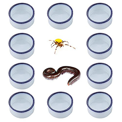 10 Pcs Spider Micro Water Bowl Mini Ceramic Dish for Tiny Reptile Spider Millipede Tarantula (Small Size: 0.86" D, 0.43" H)