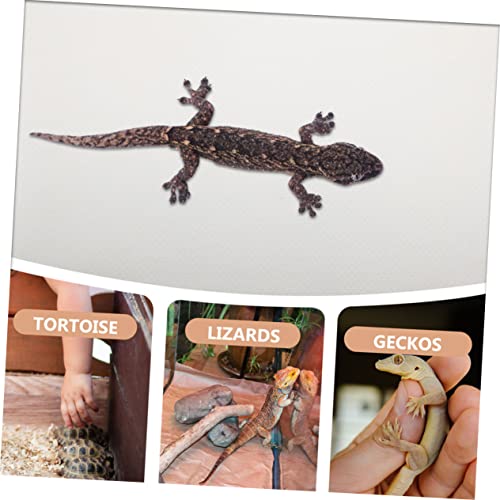 BESPORTBLE Reptile Carpet Mat Durable Eva Substrate for Bearded Dragon Leopard Gecko Tortoise and Snakes Easy Clean Non-Slip Design - color: White
