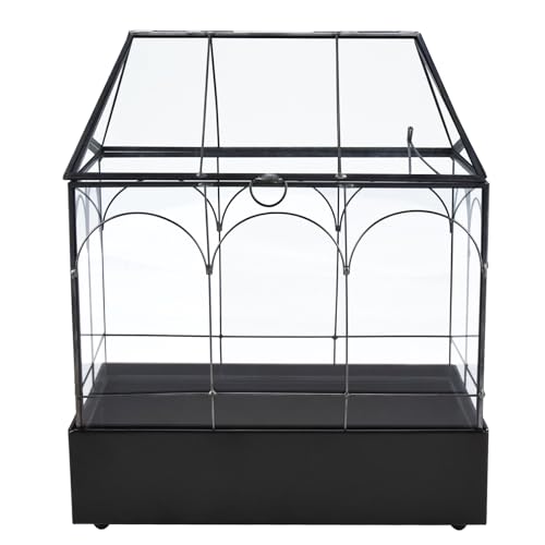 HighFree Glass Terrarium with Metal Tray, Glass Greenhouse Terrarium Kit for Succulents, Cacti, Snails, Spiders, and Miniature Reptiles, Black (Large-9.45" L x 5.7" W x 11.8" H) - size: Large-9.45"L x 5.7"W x 11.8"H