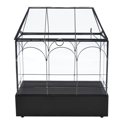 HighFree Glass Terrarium with Metal Tray, Glass Greenhouse Terrarium Kit for Succulents, Cacti, Snails, Spiders, and Miniature Reptiles, Black (Large-9.45" L x 5.7" W x 11.8" H) - size: Large-9.45"L x 5.7"W x 11.8"H