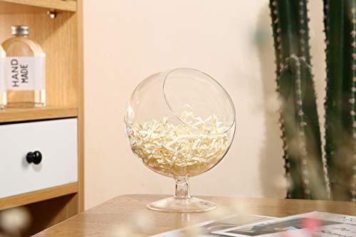 WGV Planter Terrarium with Stand, Ball Diameter 6" Height 7", Clear Glass Floral Container Vase, DIY Succulents Outdoor Garden Home Office Decor Slant Cut Orb, 1 Piece - size: 6"D