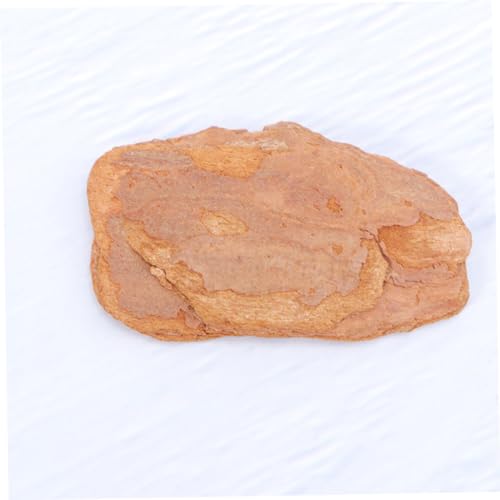 MERRYHAPY 1pack Natural Pine Bark Pad for Reptile Crawler Box Cushioned Terrarium Decor for Lizards Snails Chameleons and Geckos Bark Mat Natural Habitat