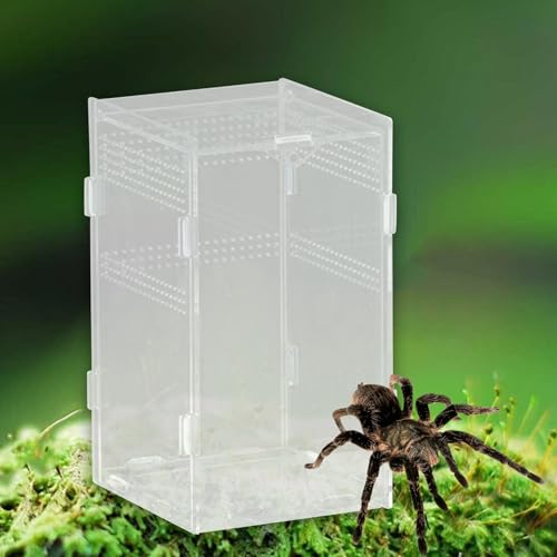 Reptile Breeding Box Terrarium Habitat Tank Transparent Acrylic Enclosure with Ventilation Holes for Snakes Frogs Turtles Geckos Small Animals- 12x12x20cm