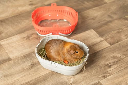 Trixie Pico Transport Crate - Portable Pet Carrier Great for On-The-Go - Traveling Cage for Small Pets, Hamsters, Guinea Pigs, Lizards, and More - size: 9.1"L x 6.7"W x 6.3"H