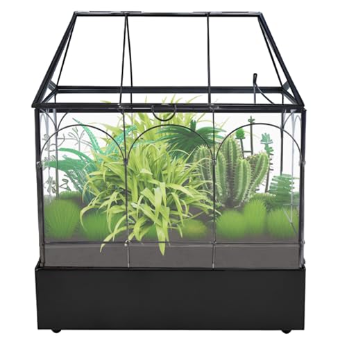 HighFree Glass Terrarium with Metal Tray, Glass Greenhouse Terrarium Kit for Succulents, Cacti, Snails, Spiders, and Miniature Reptiles, Black (Large-9.45" L x 5.7" W x 11.8" H) - size: Large-9.45"L x 5.7"W x 11.8"H