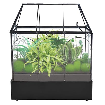 HighFree Glass Terrarium with Metal Tray, Glass Greenhouse Terrarium Kit for Succulents, Cacti, Snails, Spiders, and Miniature Reptiles, Black (Large-9.45" L x 5.7" W x 11.8" H) - size: Large-9.45"L x 5.7"W x 11.8"H