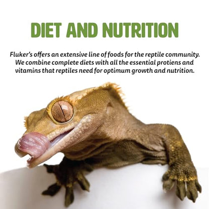 Fluker's Gourmet Canned Food, Mealworms, for Reptiles | Fish & Birds Compatible | Small Animals Compatible | 1.23 Ounce | Pack of 3 - size: 1.23 Ounce (Pack of 3), style: Mealworms
