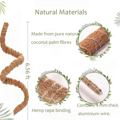 Natural Reptile Vines for Climbing, Jungle Vine for Terrarium Tanks, Reptile Branches for Chameleon, Gecko, Snake, Lizard - color: Brown