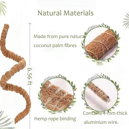 Natural Reptile Vines for Climbing, Jungle Vine for Terrarium Tanks, Reptile Branches for Chameleon, Gecko, Snake, Lizard - color: Brown