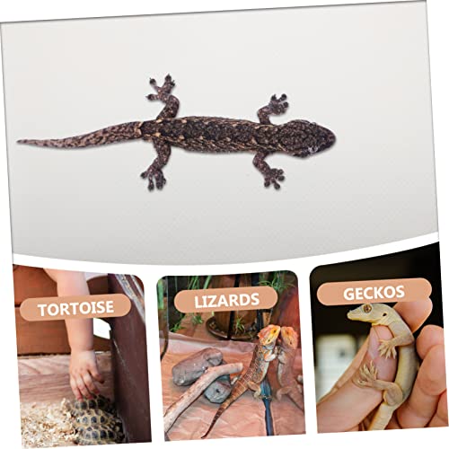 Leopard Gecko Tank Reptile Bedding Terrarium Carpet Snake Terrarium Bedding Bearded Dragon Accessories - color: White