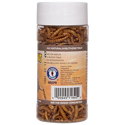 Healthy Herp Insectivore Reptile Treat Mealworms - All Natural, Nutritious Turtle Food, Bearded Dragon Tank Accessories - for Bearded Dragons, Box Turtles, Aquatic Turtles - 0.95 oz (27g)