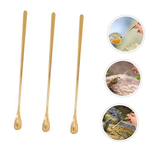 Mikikit 3Pcs Reptile Food Feeding Tool Spoon for Gecko Lizard for Wet Food Mixing Stirring Durable Pet Supply for Easy Feeding