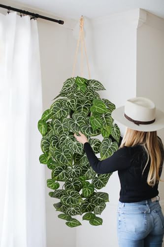 Large Fake Hanging Plants in Pot with Hook, 37" Artificial Hanging Pothos Long Vines Plants, Fake Potted Greenery Plant for Room Wall Living Room Bathroom Kitchen, Big Faux Ivy Houseplants for Shelf - color: # Pothos