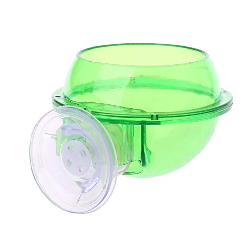 Suction Cup Reptiles Feeder Bowl Anti-Escape Food Bowl Drinker Bowl for Tortoise Iguana