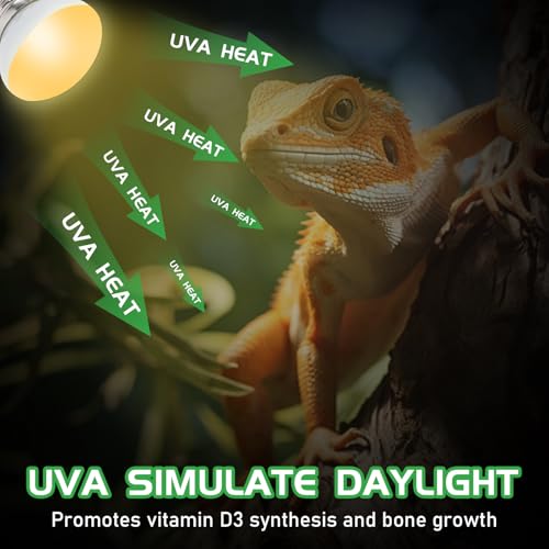 Reptile Heat Lamp Bulbs, UVA Reptile Heat Bulb 2 Pack, 40 Watt Heat Light Bulbs, Daylight Basking Spot Light for Lizard, Bearded Dragon, Snake, Gecko - color: 40*2