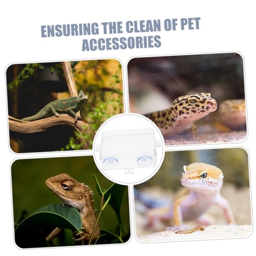 BESPORTBLE Suction Cup Food Bowl Reptile Accessory Bearded Dragon Water Bowl Multi-use Feeder Easy-Clean Reptile Dish