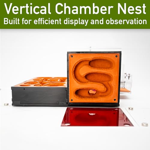 Terra Core Hybrid Formicarium Ant Nest with Starter Kit 9.84 x 9.05 x 5.11 in - size: Terra Core Series-Hybrid