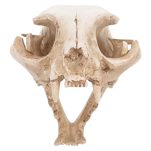 Amosfun Halloween Animal Scary Skeleton Props Resin Cat Skull Model Figurine Aquarium Fish Tank Landscape Decorations