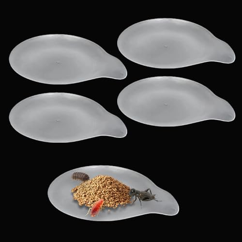 5 Pcs Cricket Feeding Bowl Plastic Feeder Transparent Eating Basin for Cricket Dubia Cockroach Cherry Cockroach Snail Crab Insect