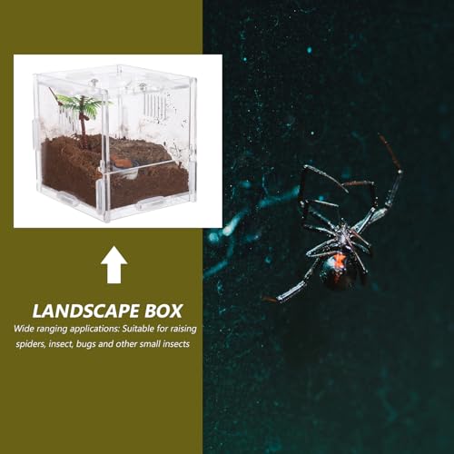 Small Acrylic Reptile Breeding Box with Ventilation Animal Habitat Cage for Spiders Jumping Spiders and Small Amphibians Terrarium for Indoor Pet Keeping