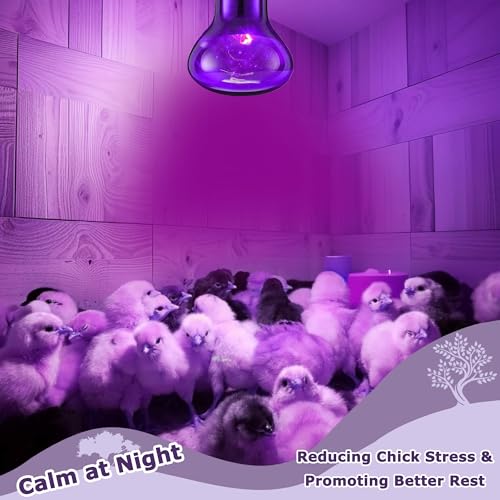 60W Reptile Night Light Bulb – Simulated Moonlight UVA Heat Lamp, Purple Basking Light for Bearded Dragons, Lizards, Snakes, Chameleons, Amphibians - 2-Pack (3.2" Diameter) - color: Purple, size: 60W - Gen1 - R63