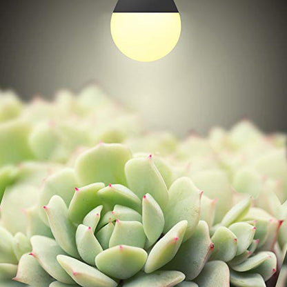 4 Pack LED Grow Light Bulbs A19 Bulb, Full Spectrum Plant Light Bulb, 9W E26 Grow Bulb Replace up to 80W, Grow Light for Indoor Plants, Flowers, Greenhouse, Indore Garden, Hydroponic - size: 4 Count (Pack of 1)