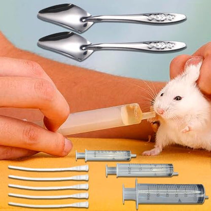 Baby Bird Feeding Syringe Set, Pet Parrot Milk Feeding Syringe with Tubes, Parrot Feeding Tubes Measuring Tools for Feeding Pets Scientific Industrial Labs… (10ml+20ml+ 60ml +2 spoons) - color: 10ml+20ml+ 60ml +2 spoons