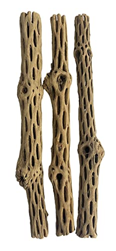 Awesome Aquatic Natural Cholla/Choya Wood 3 Pieces 12” for Shrimp Habitat and Food Treat Hermit Crabs Plecos Aquarium Decoration Lowers pH Hideouts and Chew Toys Reptiles Thorn Free Dried Organic - size: 3 pc 12 inch