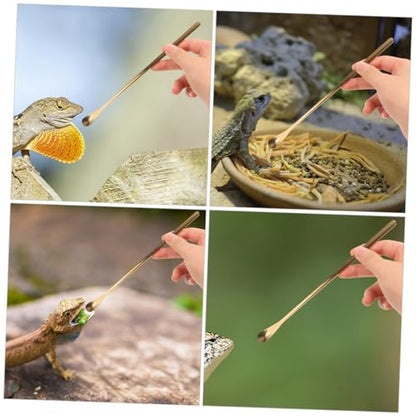 Mikikit 3Pcs Reptile Food Feeding Tool Spoon for Gecko Lizard for Wet Food Mixing Stirring Durable Pet Supply for Easy Feeding