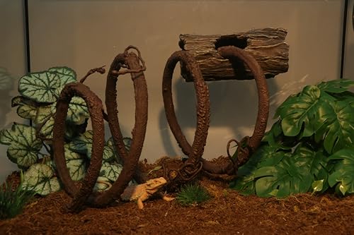 AQUA KT Reptile Twist Climber Flexible Climbing Vine Rain Forest Terrarium Branch for Leopard Gecko Lizard Snake Terrarium Amphibian Decoration