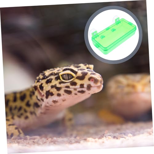 Toddmomy Secure Reptile Water Basin Insect Feeder for Bearded Dragon Gecko Snake Easy to Install Suction Cup Bowl - color: Light Green, size: 9.00X6.00X3.50CM