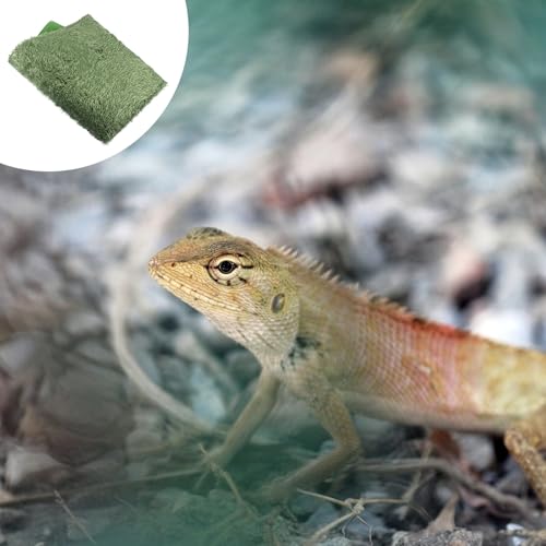 jojofuny 2pcs Moss Reptile Carpet Terrarium Liner Substrate Mat for Lizards Turtles Snakes Bearded Dragons Moisture-Resistant Non-Adhesive Reptile Tank Bedding for Pets