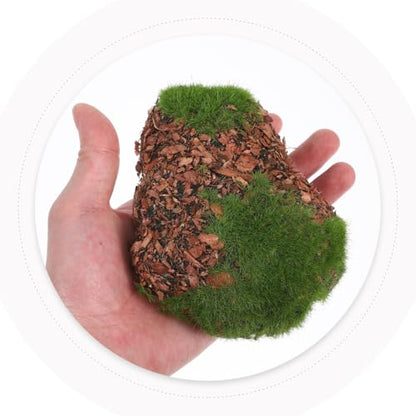 Hemoton 6pcs DIY Garden Decor Lifelike Moss Rock Fake Mossy Blocks for Floral Arrangements Miniature Landscape Accessories