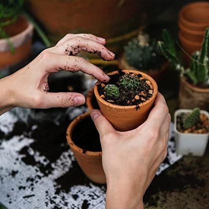 Doter Succulent and Cactus Soil Potting Mix 5.5 LBS, Bonsai Soil Mix Ready to Use, Fast Draining with Added Nutrients - size: 5.5 lbs