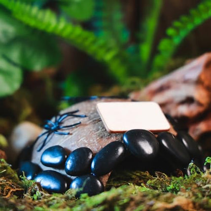 Reptile Hideouts, Handmade Handmade Reptile Home, Hide Cave for Crested Gecko, Leopard Gecko, Lizard, Snake, Crabs Hide Cave, Personalized Terrarium & Vivarium Décor（Spider） - style: Spider
