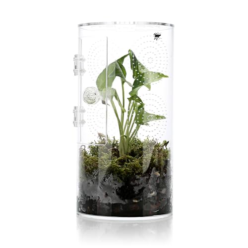 Jumping Spider Enclosure, 11.5”*6”*6”, Air Hole 3/64" Micro Habitat Terrariums, Arboreal Reptile Tank with Front Opening Door,Tarantula Enclosure, Plant Greenhouse