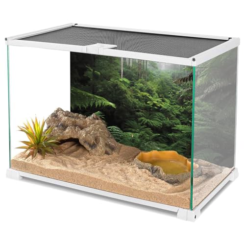 AWERT Foggy Forest Terrarium Background Green Tree Reptile Habitat Background Tropical Rainforest Aquarium Background 60x24 inches - size: 60x24in/150x60cm