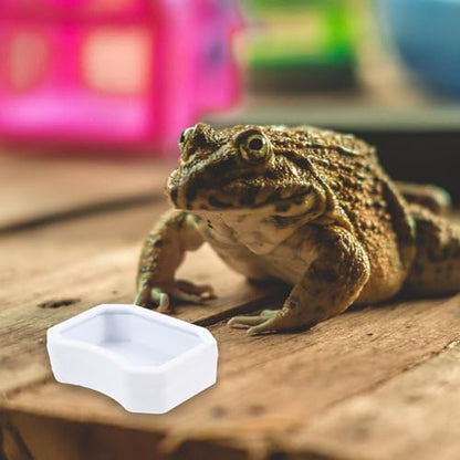10pcs Reptile Water and Food Bowls Set, Small Lizard Feeding Dish for Geckos, Turtles, and Amphibians, Sturdy Plastic, White and Black, Suitable for Terrariums and Vivariums