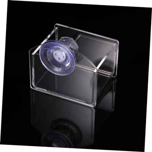 BESPORTBLE Suction Cup Reptile Feeder Water and Food Bowl Durable Transparent Feeding Container for Lizards Turtles and Geckos Space-Saving Design for Easy Installation and Cleaning
