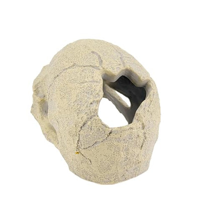 CTWPets Aquarium Human Skull Decor for Betta Fish, Sinking Hide Shrimp Hide