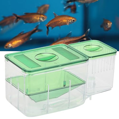 Fish Breeder Box for Aquarium — Double Chamber Hang-On Fry Isolation Box for Betta, Guppy & Livebearers | Feeding Hole | Clear View | Fits Most Fish Tanks
