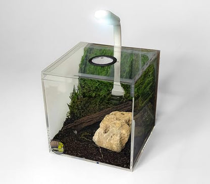 4″ Ventilated Acrylic Vivarium Terrarium Enclosure Clear Cubic Bug Habitat for Spiders, Isopods, Insects, Reptiles (Black Vent) - color: Black