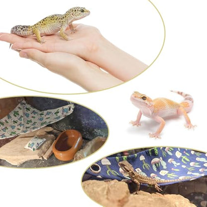 DQITJ 2 Pcs Reptile Hammock with Small Pillow Swing Hanging Bed Lounger Ladder with Adhesive Hooks and Suction Hook for Lizard Leopard Gecko Bearded Dragon Rat (Beige and Blue)