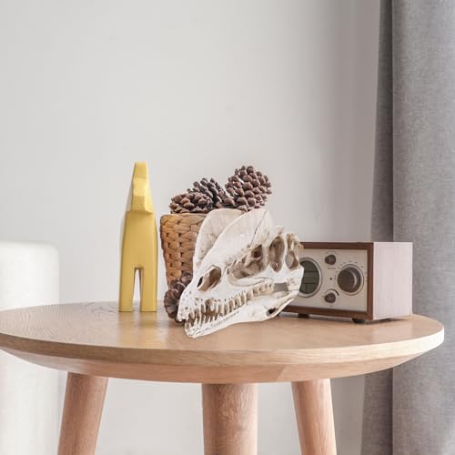 NUOBESTY Resin Dinosaur Skeleton Aquarium Decoration Dinosaur Skull Skeleton Ornament Fish Tank Aquarium Terrarium Decoration
