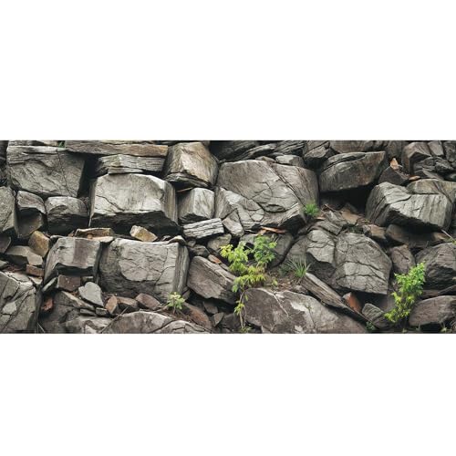 30X12IN Stone Aquarium Background, Rock Fish Tank Background, Natural Rocky Glass Terrarium Background with 8 EVA Double-Sided Tape - color: Stone, size: 30X12in/75X30cm